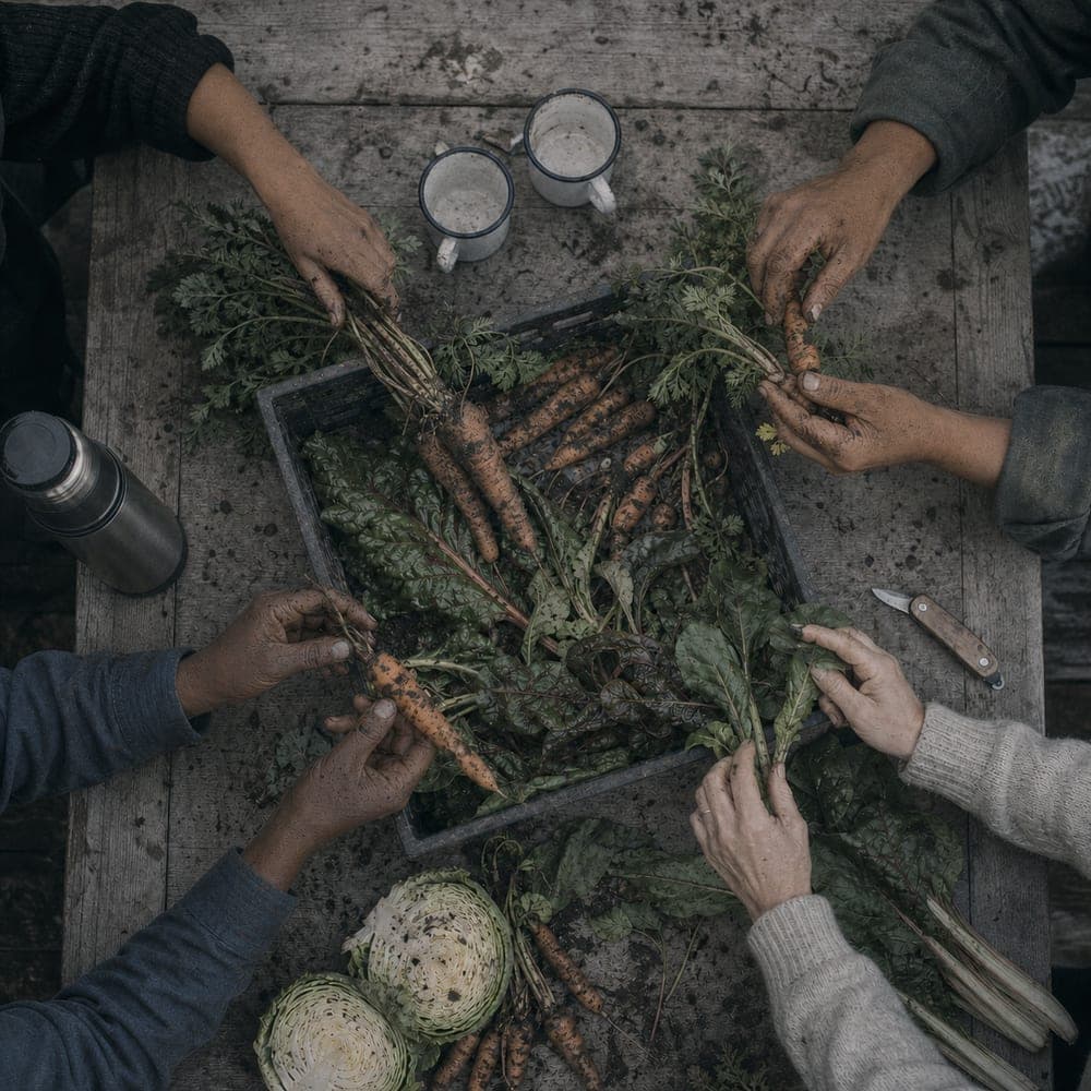 Several pairs of muddy hands over a crate of just-pulled carrots and greens on a weathered table, seen from above